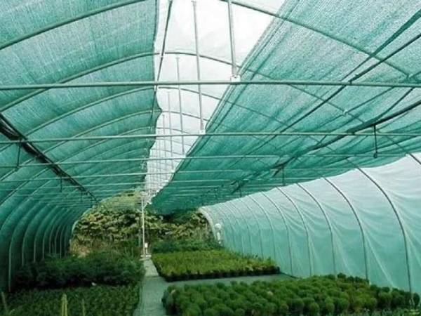 - vegetable-green-shade-netting 