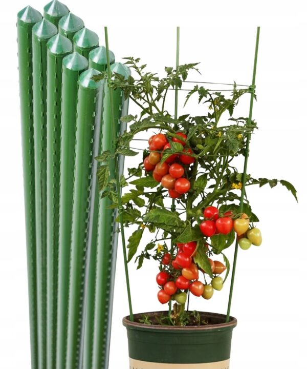Tyczki do Roślin Powlekana Podpora Pomidorów Paliki Kwiatów 180CM 10szt