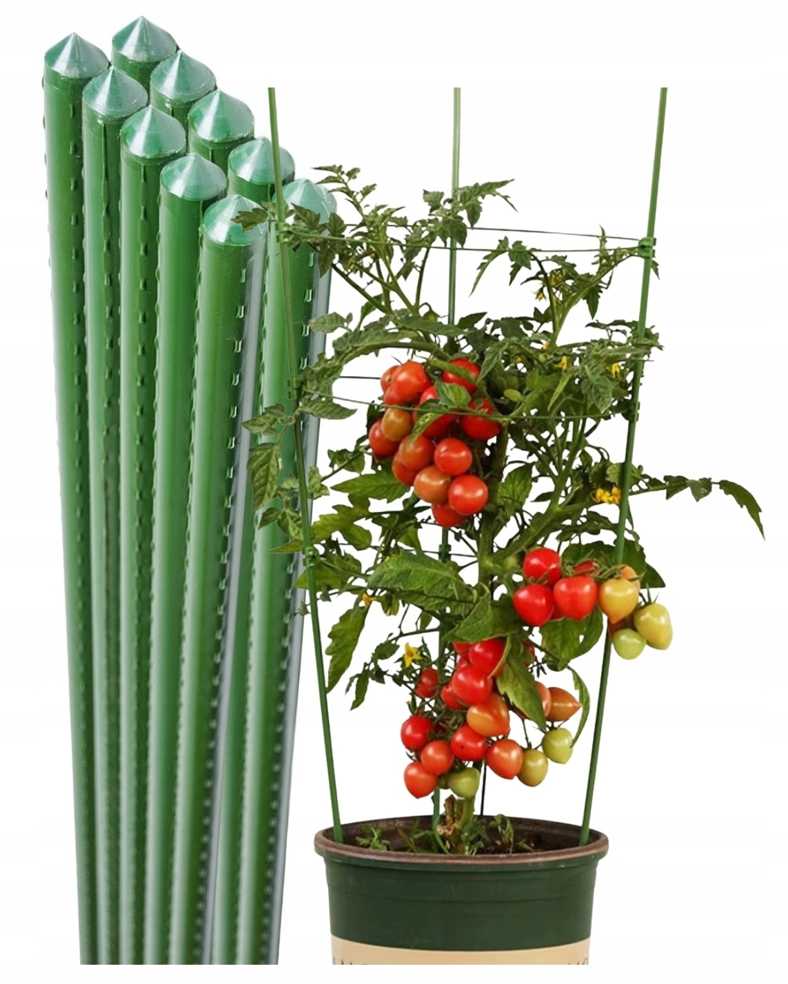 - c307904a4625869c2ed9dc5920b9jpg - strefamarki Tyczki do Roślin Powlekana Podpora Pomidorów Paliki Kwiatów 120CM 10szt